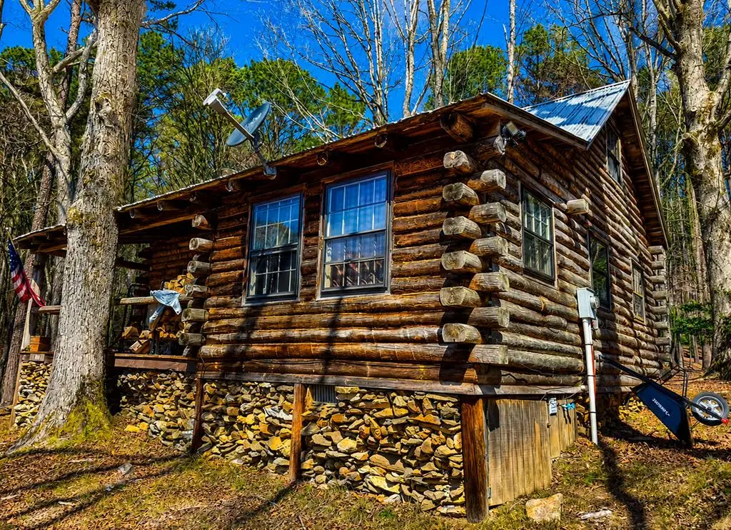 1593 Blackberry Mountain Road, Ellijay, GA 30536 - #1