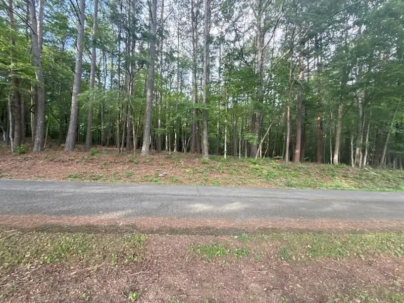 0 Hwy 68, Turtletown, TN 37391 - #1