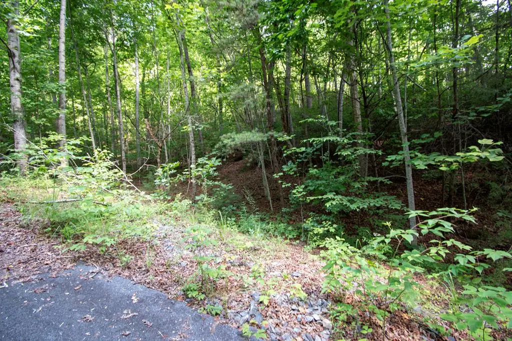0 Bluff Road, Marble, NC 28905 - #1