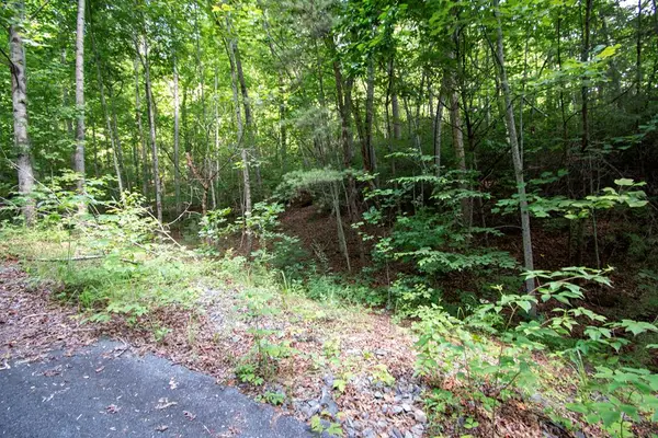 0 Bluff Road, Marble, NC 28905