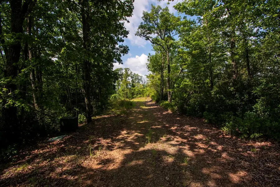 0 Bluff Road, Marble, NC 28905 - #2