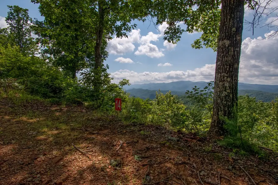 0 Bluff Road, Marble, NC 28905 - #3