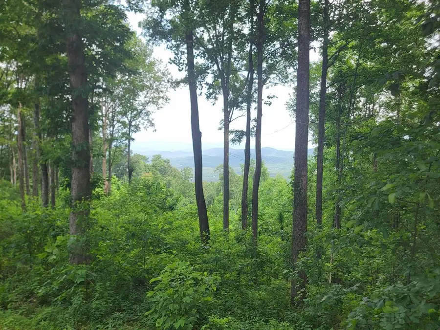 81 Hidden Mountain, Hothouse, NC 26906 - #2
