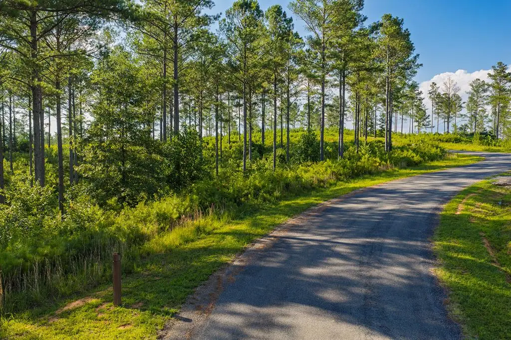 Lot 68 High River Road, Ellijay, GA 30540 - #1