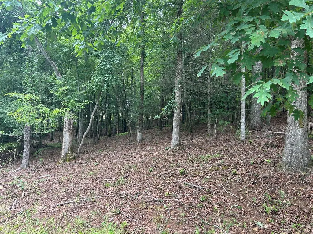 Lt 14 Fiddlers Cove, Blairsville, GA 30512 - #1