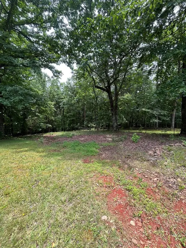 0 Whitestone Drive, Cleveland, GA 30528