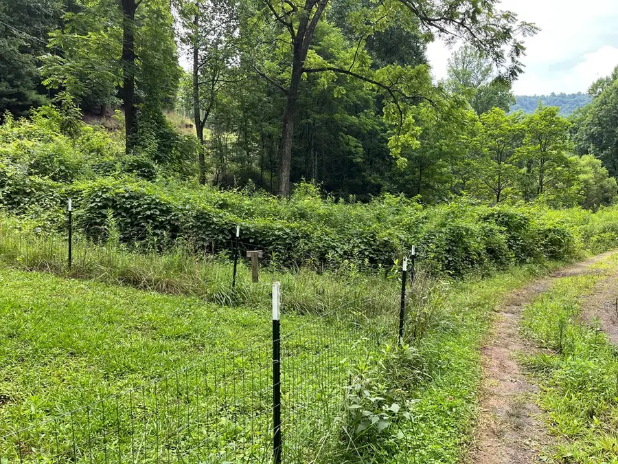 00 Bates Creek Road, Murphy, NC 28906 - #2