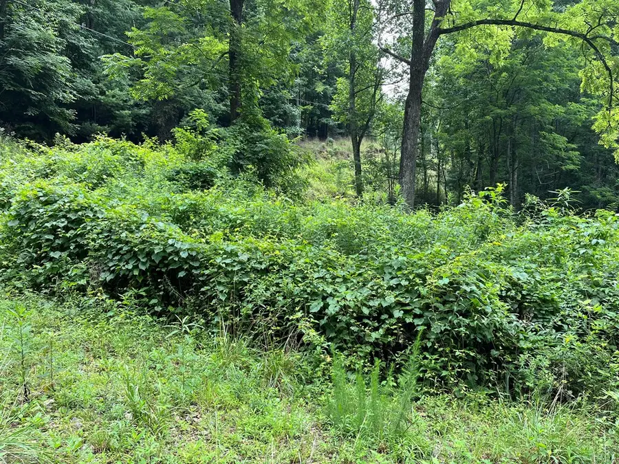 00 Bates Creek Road, Murphy, NC 28906 - #3