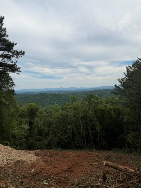 Lot 30 Lookout Drive, Blue Ridge, GA 30513 - #1