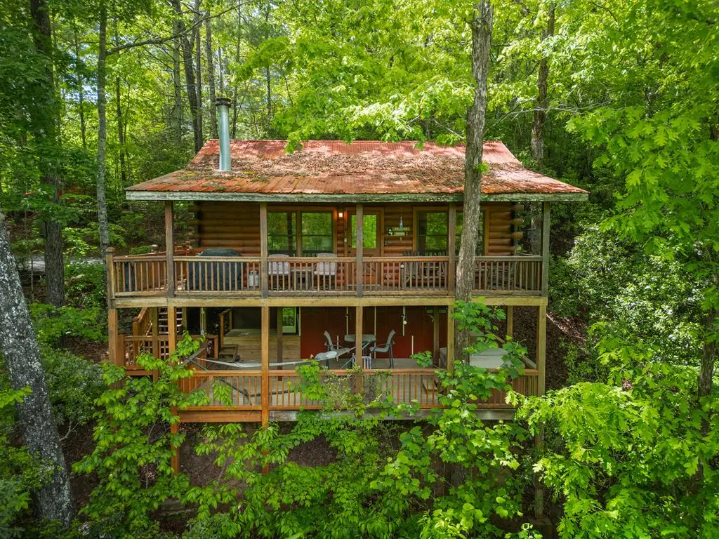 203 Mountain View Drive, Cherry Log, GA 30522 - #1