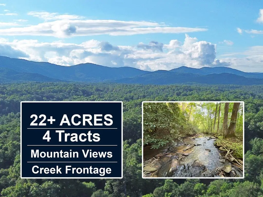 1720 Mt. Springer Road, Ellijay, GA 30540 - #1