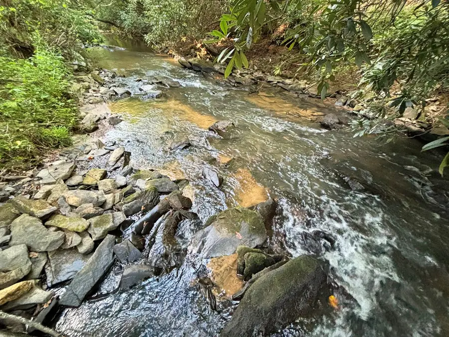 1720 Mt. Springer Road, Ellijay, GA 30540 - #2