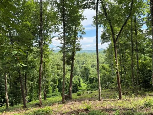 Lot 25 Bryson Creek, Murphy, NC 28906 - #1