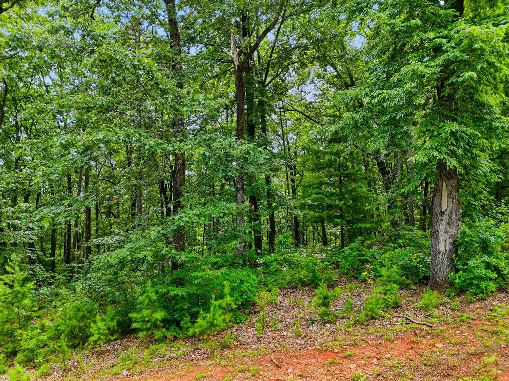 Lot 11 Weeks Drive, Ellijay, GA 30540 - #1