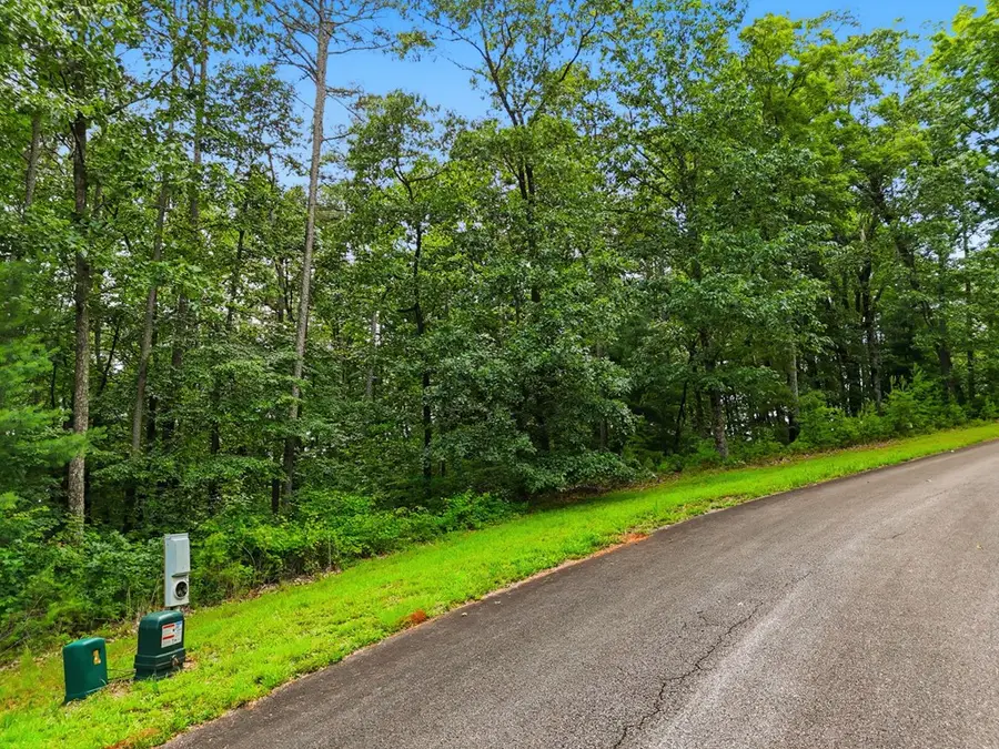 Lot 11 Weeks Drive, Ellijay, GA 30540 - #3