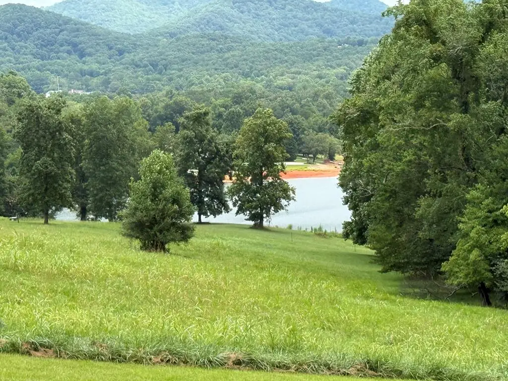 LOT 3 Viewpoint Lane, Blairsville, GA 30512 - #1