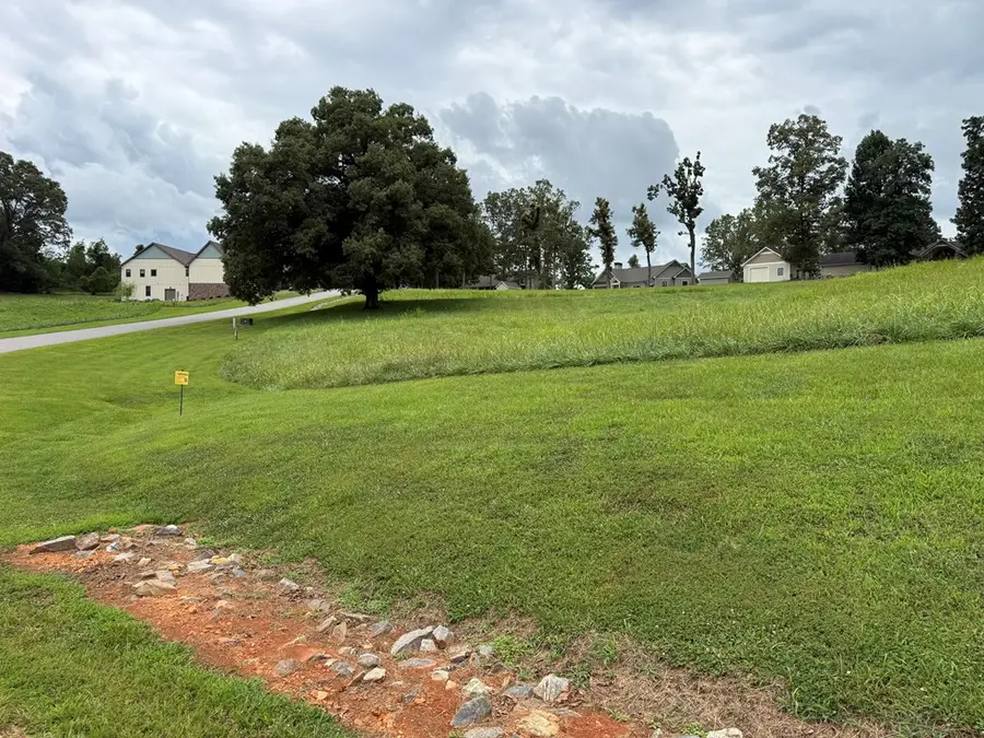 LOT 3 Viewpoint Lane, Blairsville, GA 30512 - #3