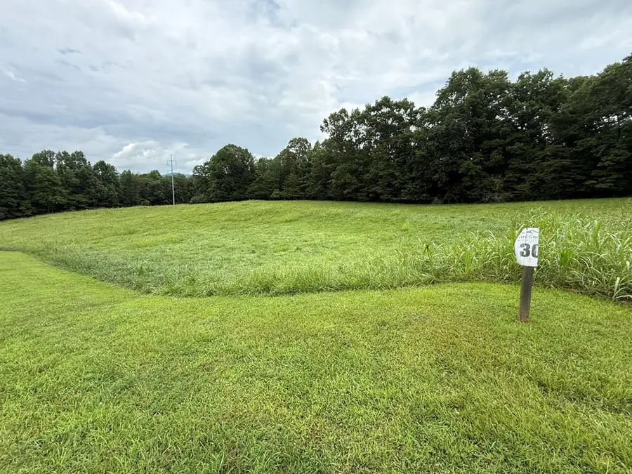 LOT 30 The Grove @ Highland, Blairsville, GA 30512 - #2