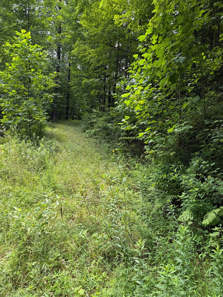 0 Outlook Road, Murphy, NC 28906 - #2