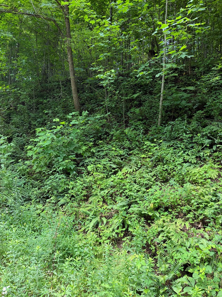 0 Outlook Road, Murphy, NC 28906 - #3