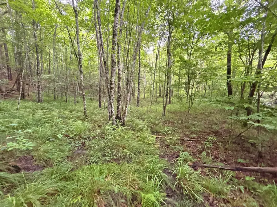 10AC Lovejoy Lane, Talking Rock, GA 30175 - #3