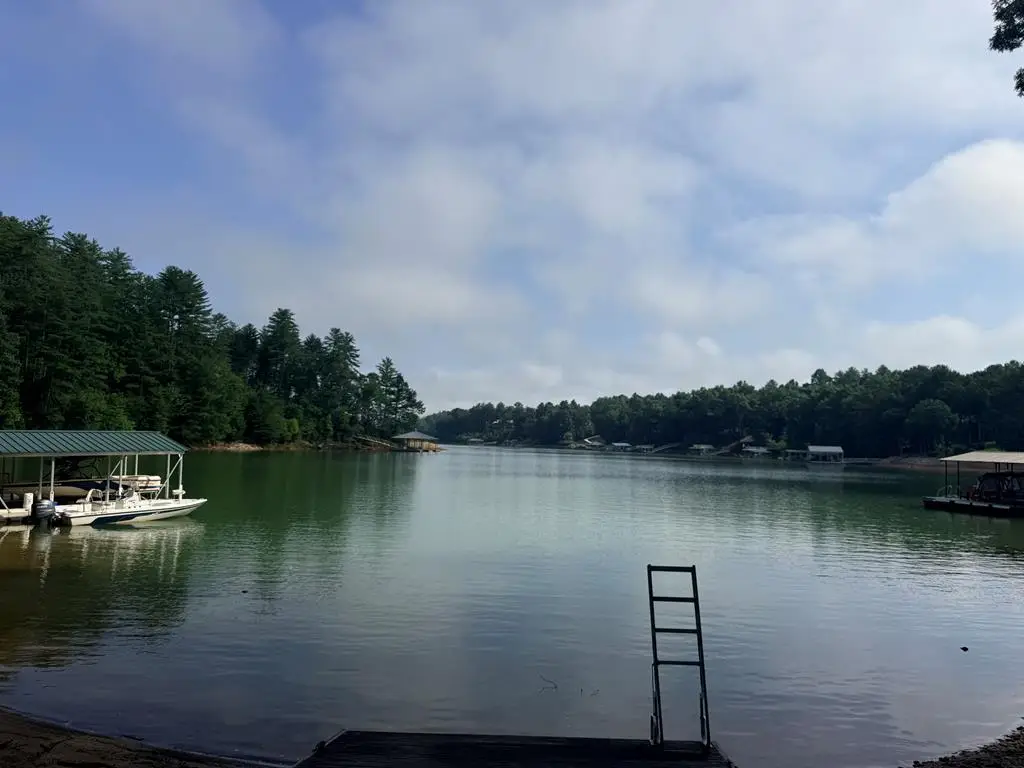 142 Lake Breeze Lane, Blairsville, GA 30512 - #1