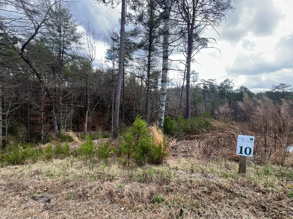 Lot 10 Mountain Laurel Ridge, Mineral Bluff, GA 30559 - #1