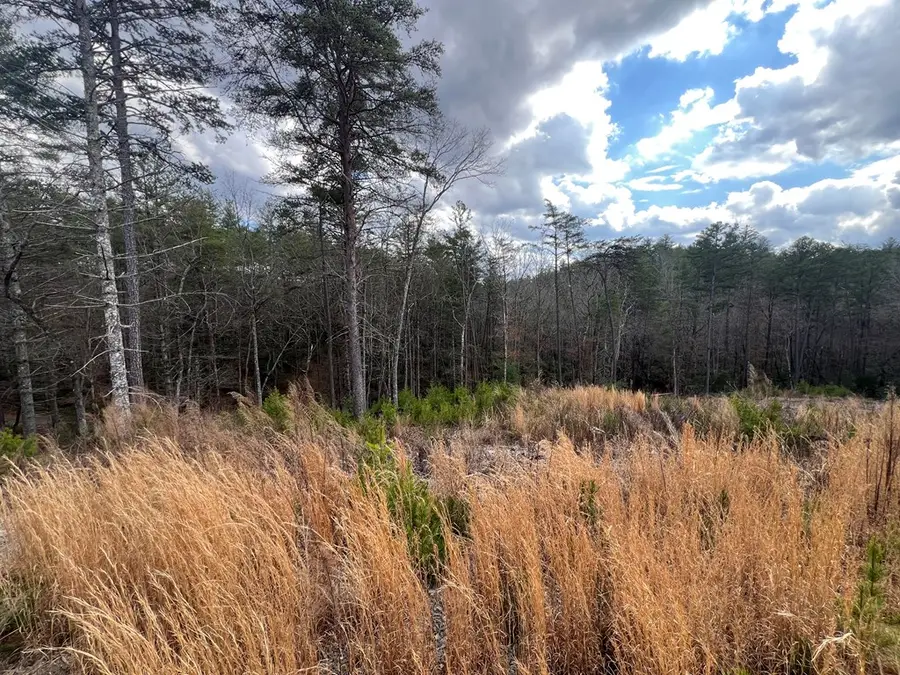 Lot 10 Mountain Laurel Ridge, Mineral Bluff, GA 30559 - #2