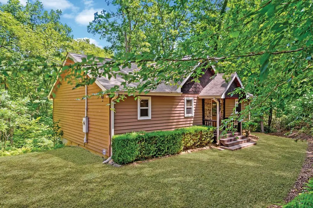 337 Branch Creek Road, Blue Ridge, GA 30513 - #1