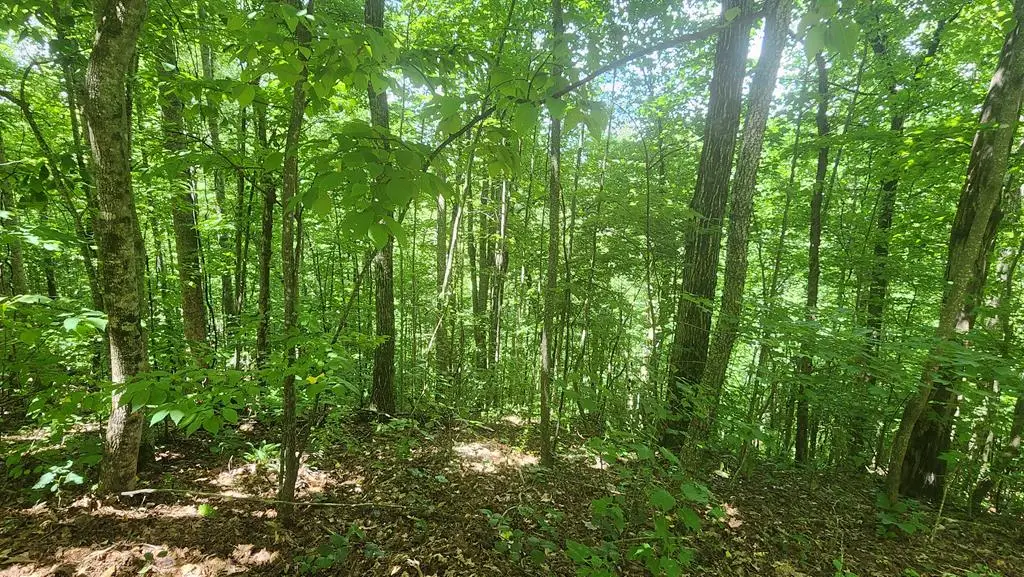 lot 15 Roaring Ridge, Hiawassee, GA 30546 - #1