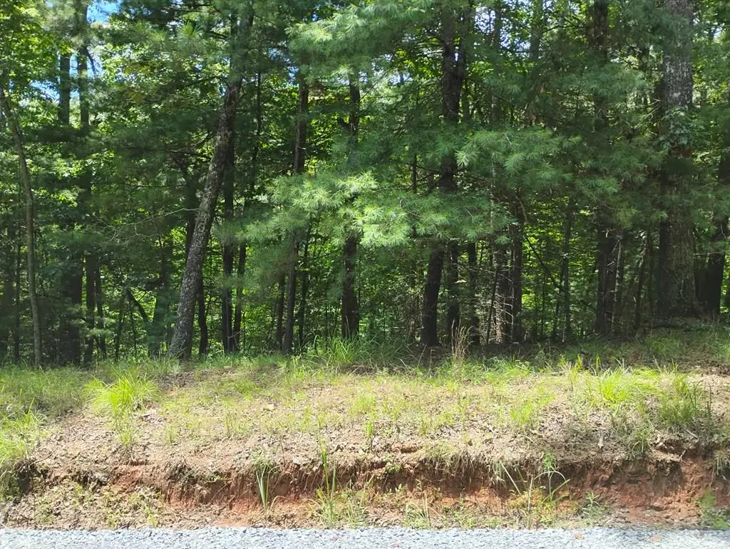 0 Crystal Lane, Ellijay, GA 30540 - #1