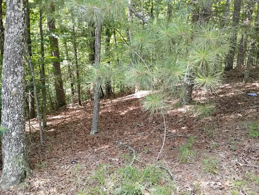 0 Crystal Lane, Ellijay, GA 30540 - #2