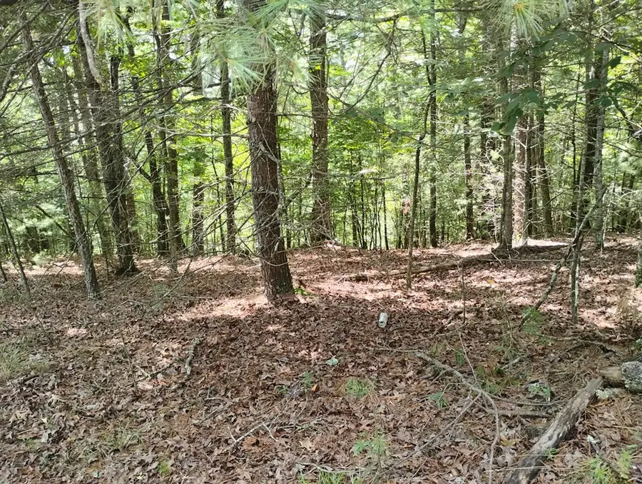 0 Crystal Lane, Ellijay, GA 30540 - #3