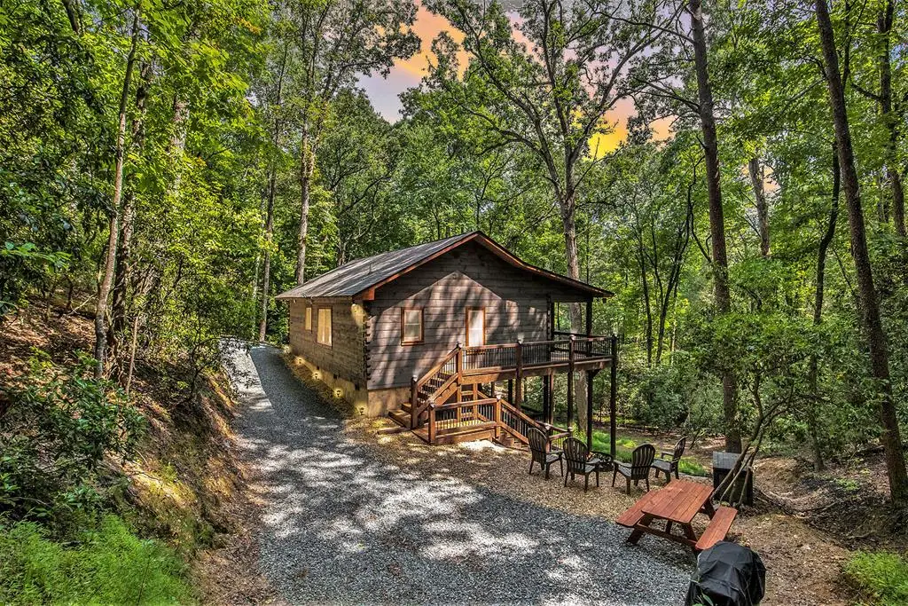 680 Hidden Lakes Drive, Cherry Log, GA 30522 - #1