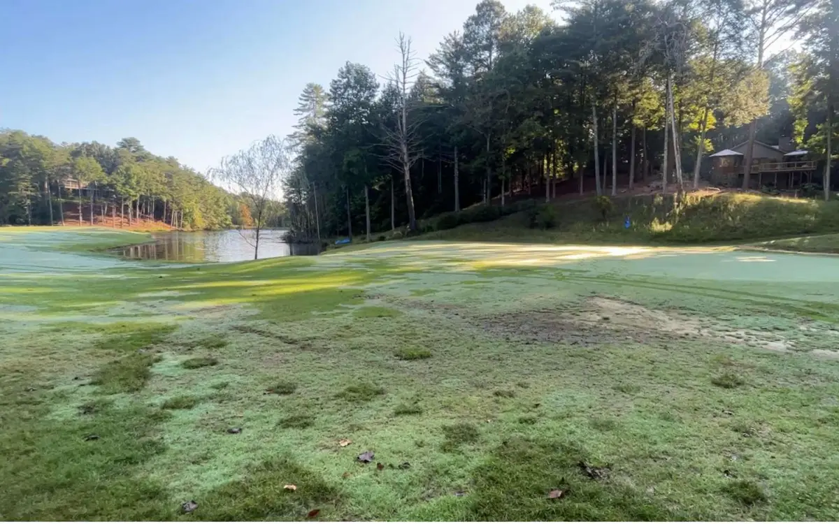 LT 88 Shenandoah Drive, Ellijay, GA 30540 - #1