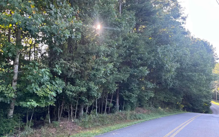 LT 88 Shenandoah Drive, Ellijay, GA 30540 - #2