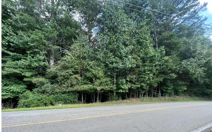 LT 88 Shenandoah Drive, Ellijay, GA 30540 - #3