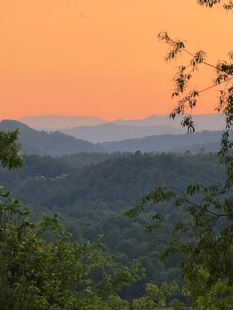 0 Tusquittee Road, Hayesville, NC 28904 - #1