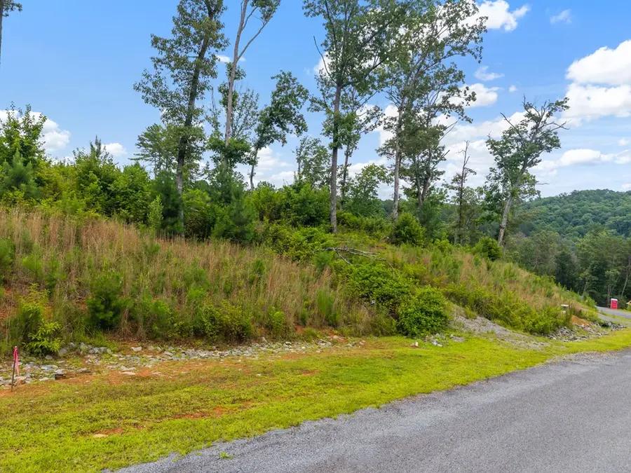 Lot 84 Jakes Landing Way, Ellijay, GA 30540 - #2