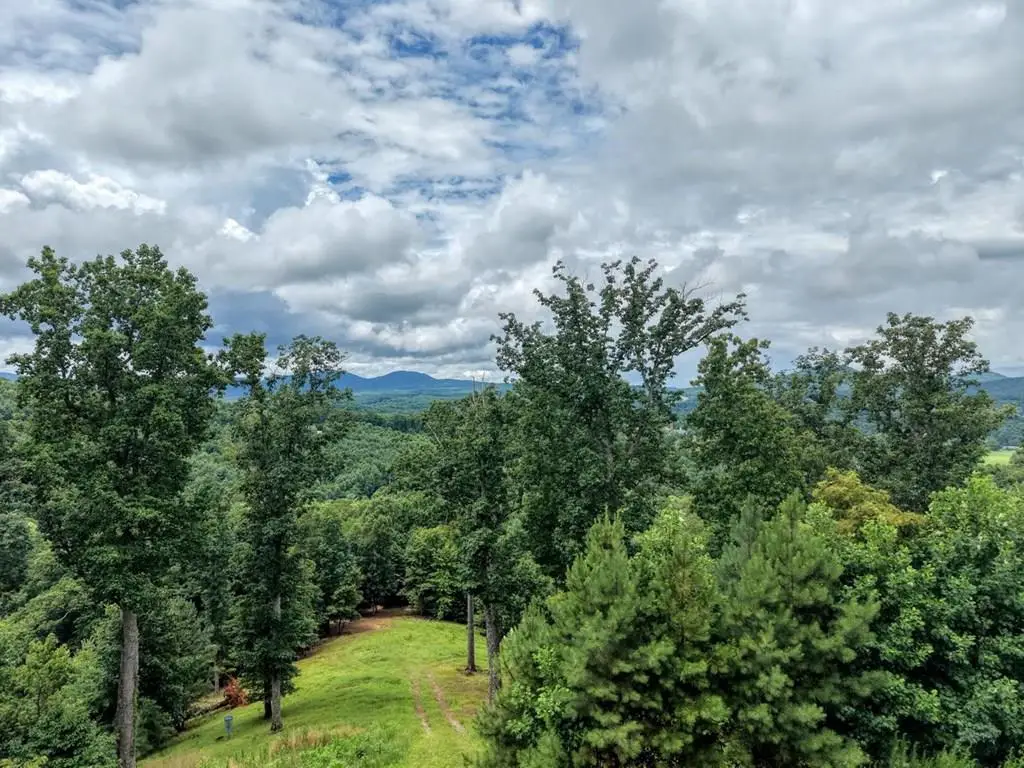Lot 83 Ridge Peak View, Blairsville, GA 30512 - #1