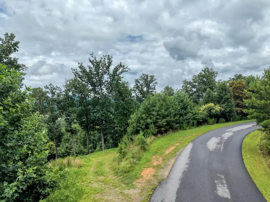 Lot 83 Ridge Peak View, Blairsville, GA 30512 - #3