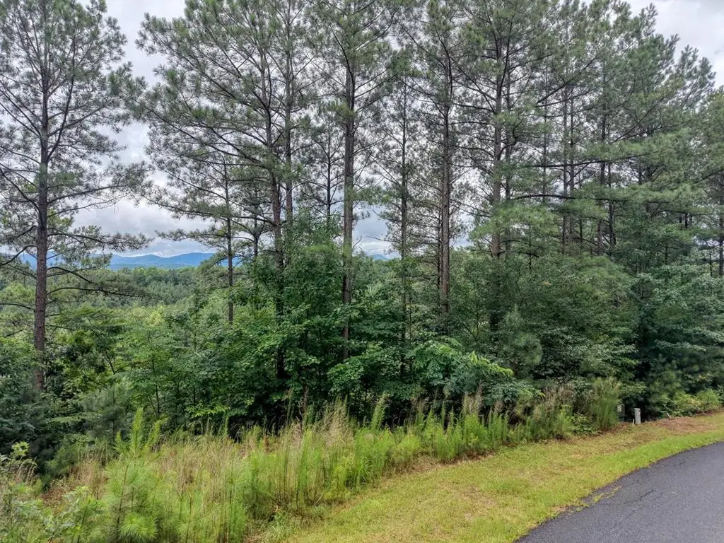 LOT 34 Mile High Lane, Blairsville, GA 30512 - #1