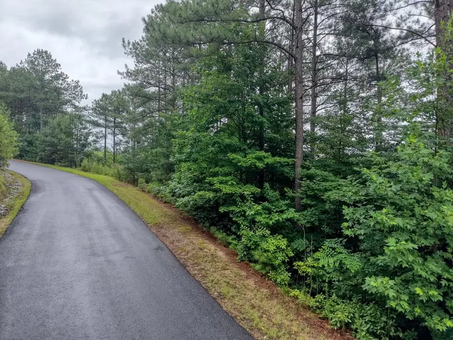 LOT 34 Mile High Lane, Blairsville, GA 30512 - #2