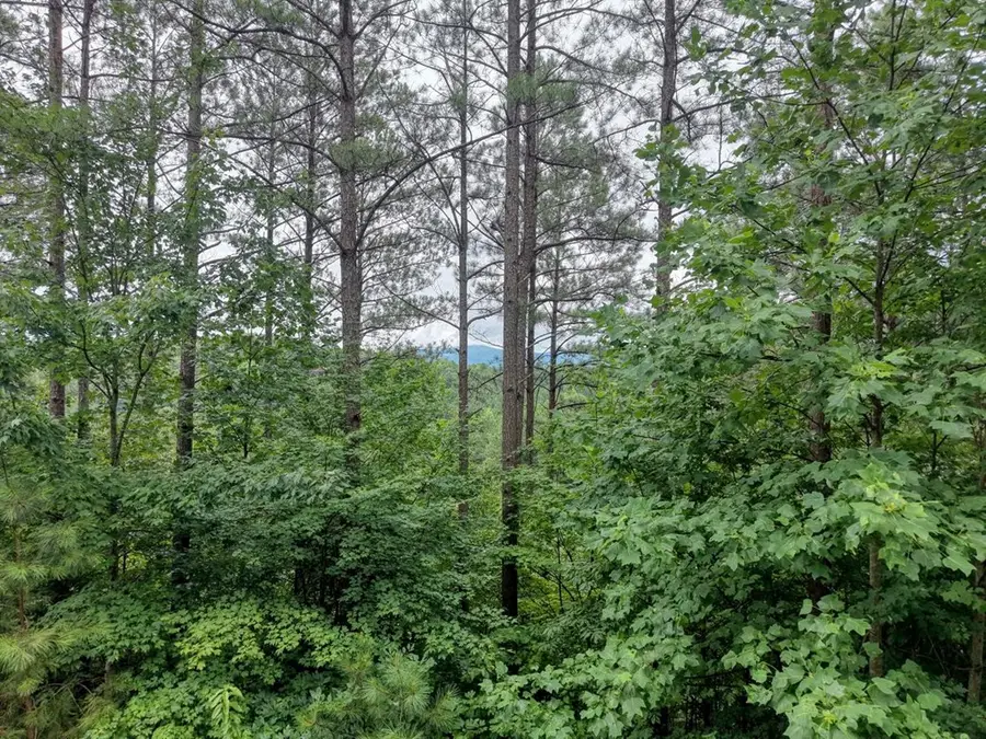 LOT 34 Mile High Lane, Blairsville, GA 30512 - #3