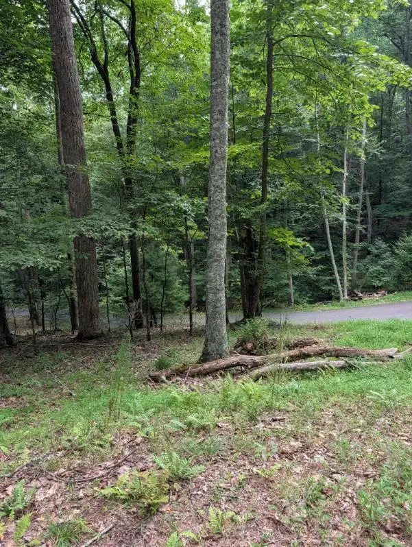 190 Valley Crest Drive, Blairsville, GA 30512 - #1