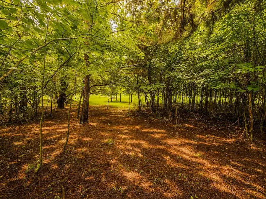 7E Lake Nottely Drive, Blairsville, GA 30512 - #2