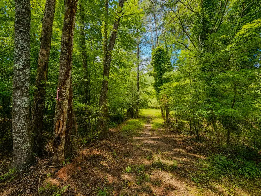 7E Lake Nottely Drive, Blairsville, GA 30512 - #3
