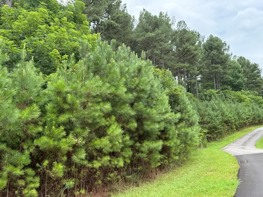 LOT 174 The Stables Loop, Blairsville, GA 30512 - #3