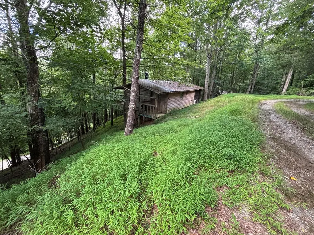 1163 Tipton Springs Road, Morganton, GA 30560 - #1
