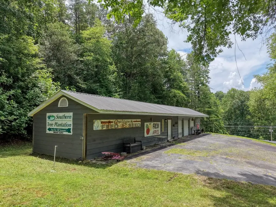 119 Satterfield Place, Blairsville, GA 30512 - #3